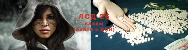 таблы Богородицк