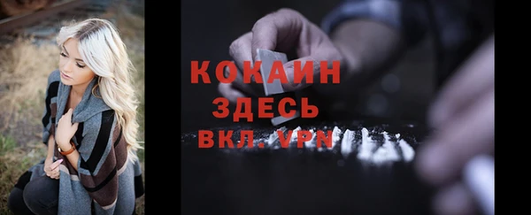 таблы Богородицк