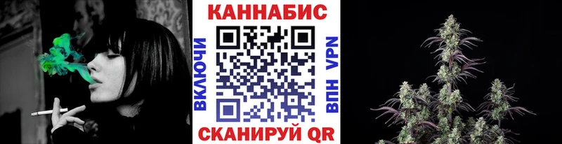 MEGA ссылка  как найти закладки  Ессентукская  Марихуана сатива 